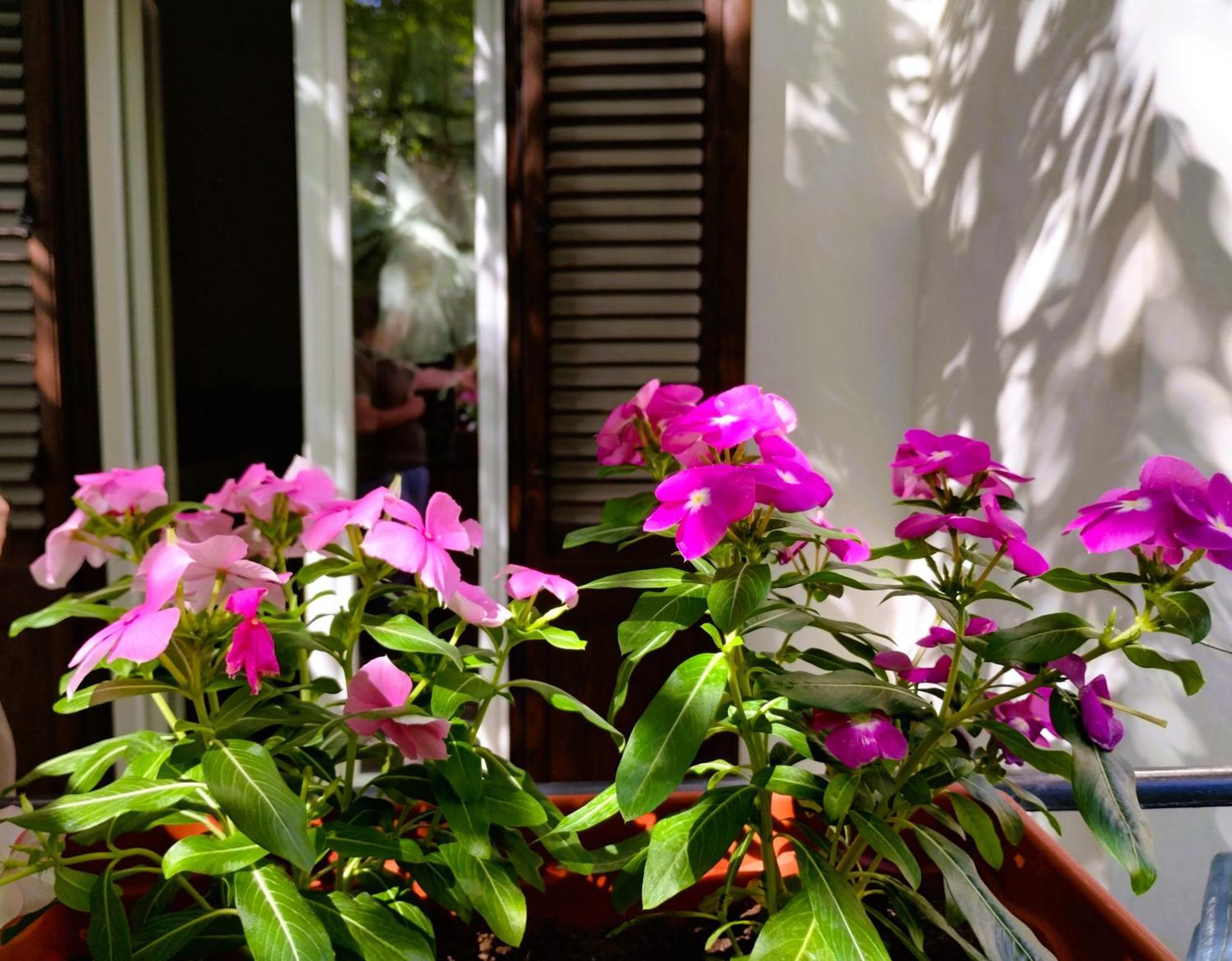 Domus Vetriera Apartment Palermo Luaran gambar